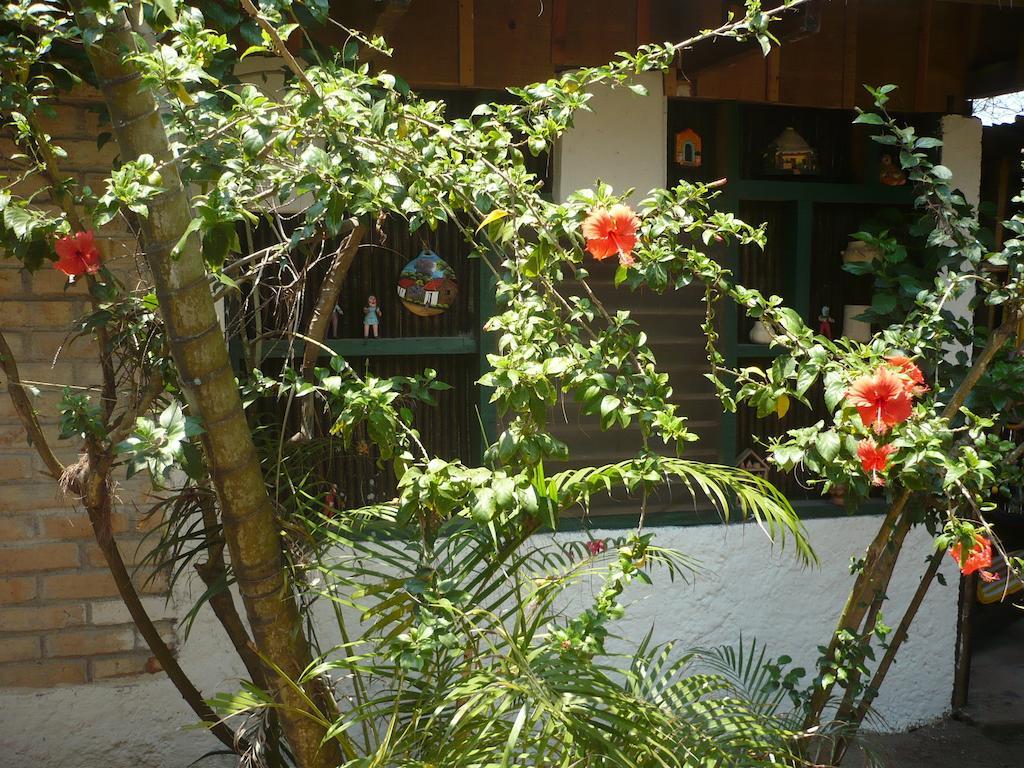 Caribbean Coral Inn Tela Esterno foto